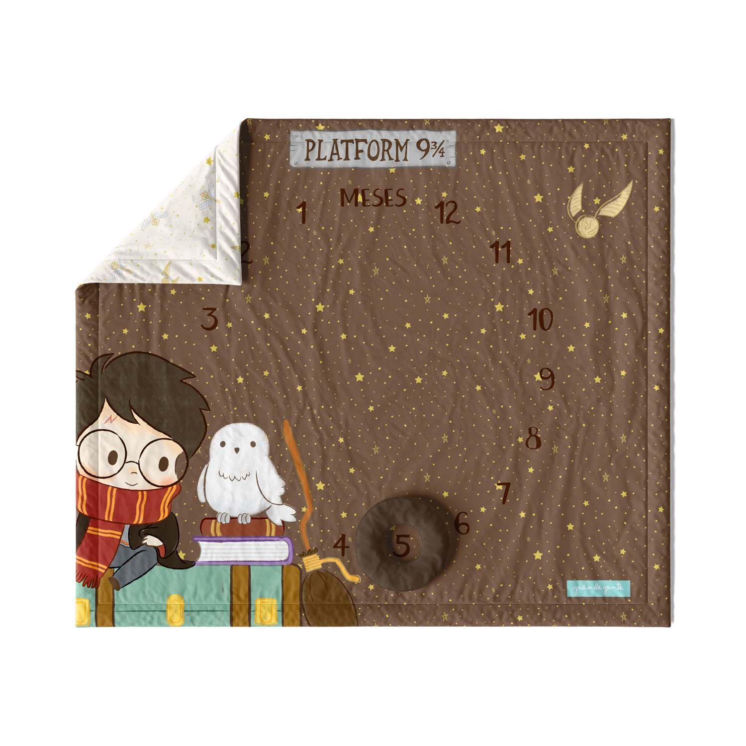 Tapete Mesversário Harry Potter Plataforma 9 ¾